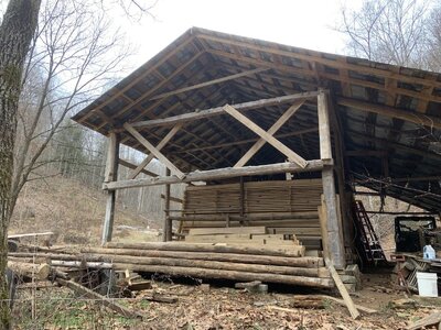 IMG_8525 (1200 x 900).jpg IMG_8525 (1200 x 900).jpg