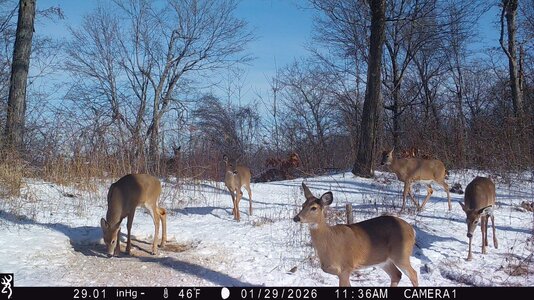 IMG_2044 (1300 x 731).jpg IMG_2044 (1300 x 731).jpg