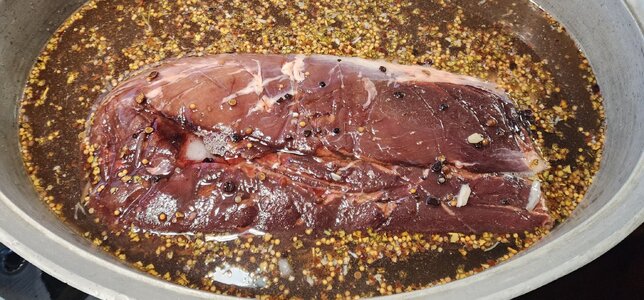 Screenshot_20260131_211640_Gallery.jpg Screenshot_20260131_211640_Gallery.jpg