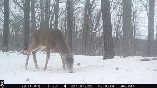 IMG_0599 (1301 x 732).jpg