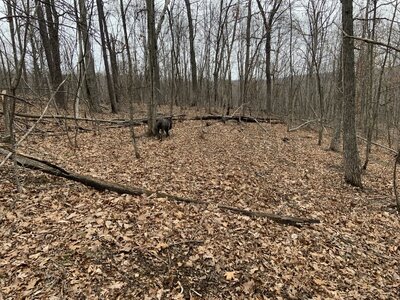 IMG_8709 (1200 x 900).jpg