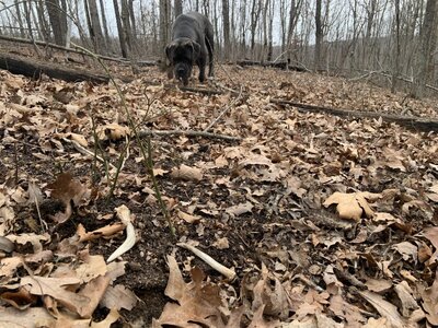 IMG_8711 (1200 x 900).jpg