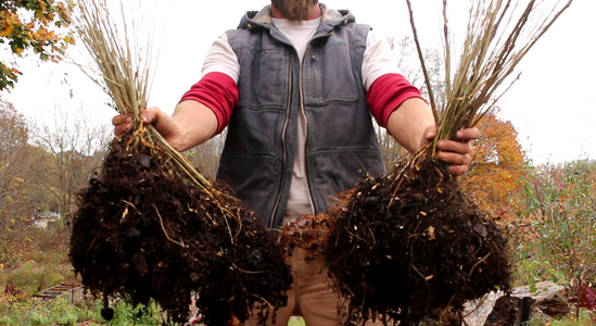 Screenshot 2024-11-02 9.57.47 AM.png