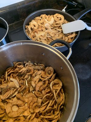 IMG_6180.jpeg IMG_6180.jpeg