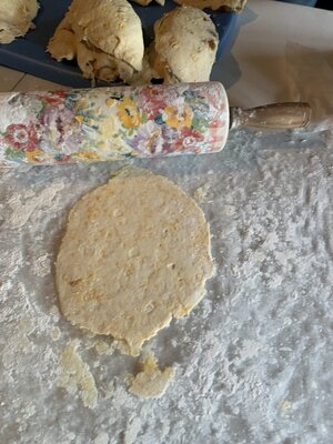 IMG_6183.jpeg IMG_6183.jpeg