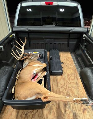 WhatsApp Image 2026-02-27 at 4.18.17 PM.jpeg WhatsApp Image 2026-02-27 at 4.18.17 PM.jpeg