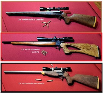 tres rifle's wood.jpg