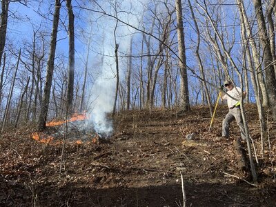 IMG_9122 (1200 x 900).jpg IMG_9122 (1200 x 900).jpg