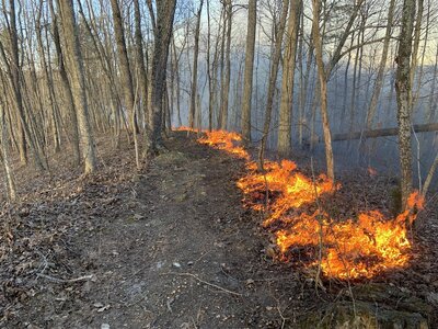 IMG_9130 (1200 x 900).jpg IMG_9130 (1200 x 900).jpg