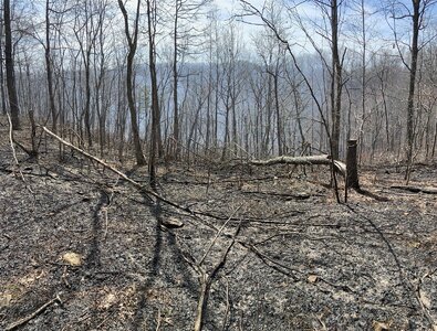 IMG_9183 (1200 x 912).jpg IMG_9183 (1200 x 912).jpg