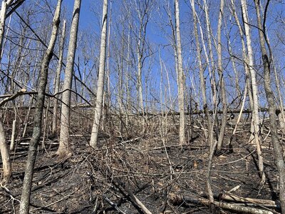 IMG_9259 (1200 x 900).jpg