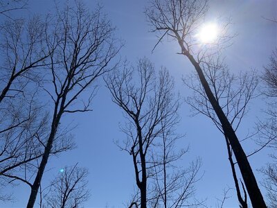 IMG_9262 (1200 x 900).jpg