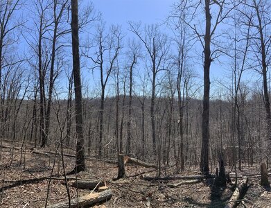 IMG_9274 (1200 x 921).jpg