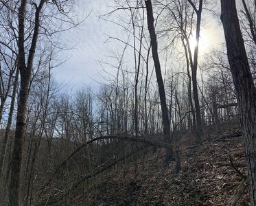 IMG_9334 (1200 x 966).jpg