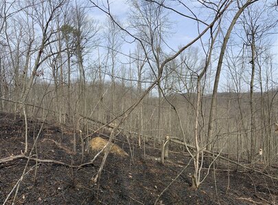 IMG_9340 (1200 x 891).jpg