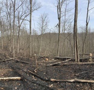 IMG_9346 (1200 x 1156).jpg