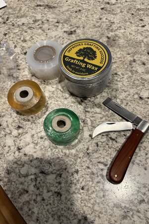 IMG_2027.jpeg IMG_2027.jpeg