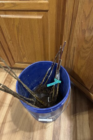 IMG_2028.jpeg IMG_2028.jpeg