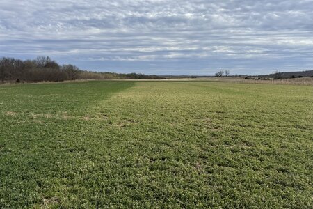 IMG_2033.jpeg IMG_2033.jpeg