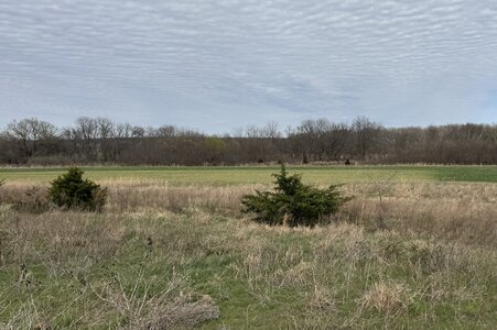 IMG_2034.jpeg IMG_2034.jpeg