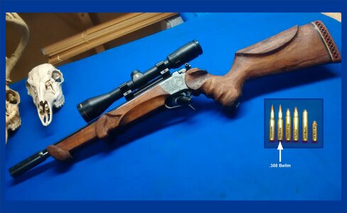 308 Bellm w cherry furniture.JPG