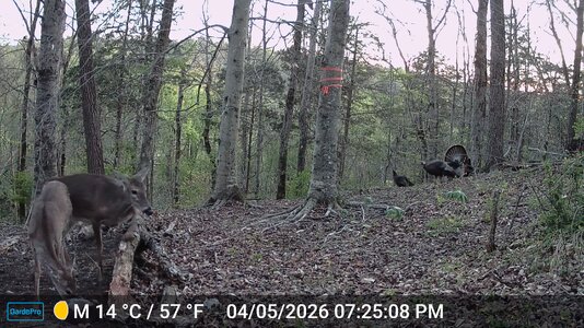 br9-DSCF0800.jpg br9-DSCF0800.jpg