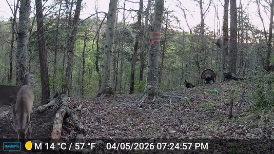 br8-DSCF0797.jpg br8-DSCF0797.jpg