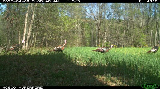 br5-IMG_0129.jpg br5-IMG_0129.jpg