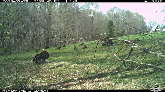 br6-RCNX0079.jpg br6-RCNX0079.jpg