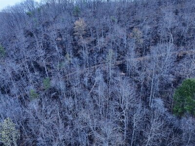 DJI_20260411220211_0022_D (1200 x 900).jpg DJI_20260411220211_0022_D (1200 x 900).jpg