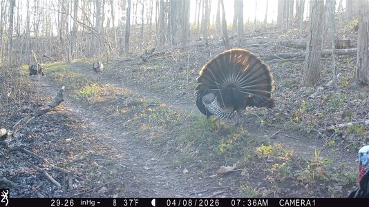 IMG_0156 (1300 x 731).jpg