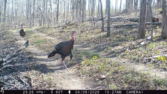 IMG_0160 (1300 x 731).jpg