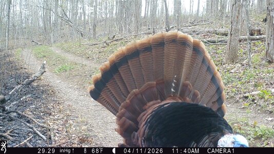 IMG_0214 (1300 x 731).jpg