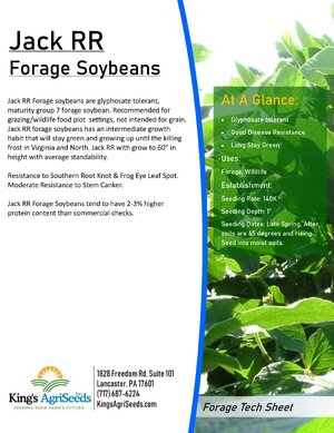 Jack-RR-Forage-Soybeans.jpg
