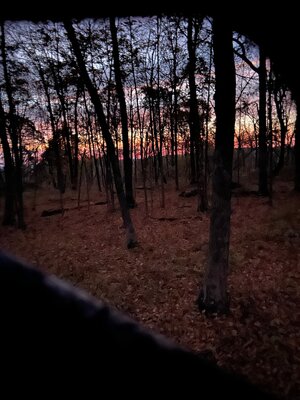 IMG_5367.jpeg
