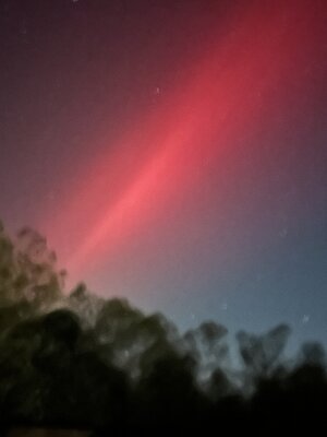 IMG_5280.jpeg
