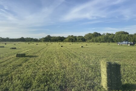 IMG_2173.jpeg