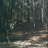 buckdeer85