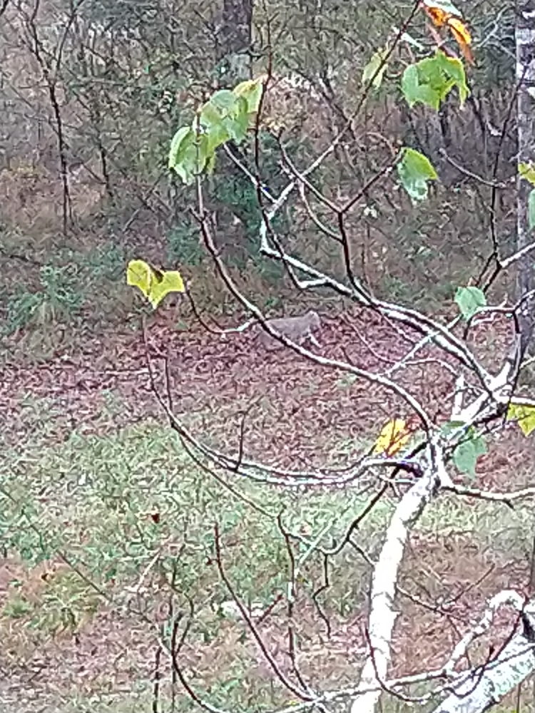 99365d8146578ef411eeb0aac3c72aa9.jpg