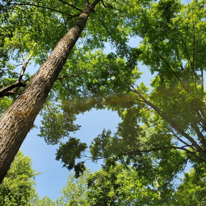 b859473042d8d3a2b7f906432ac57852.jpg