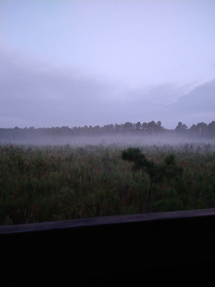 fa04d6fdf7937fbd2c6b02ad98b050fb.jpg