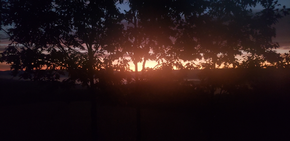 4282c2ff70197a0aea8816a394e9636b.jpg