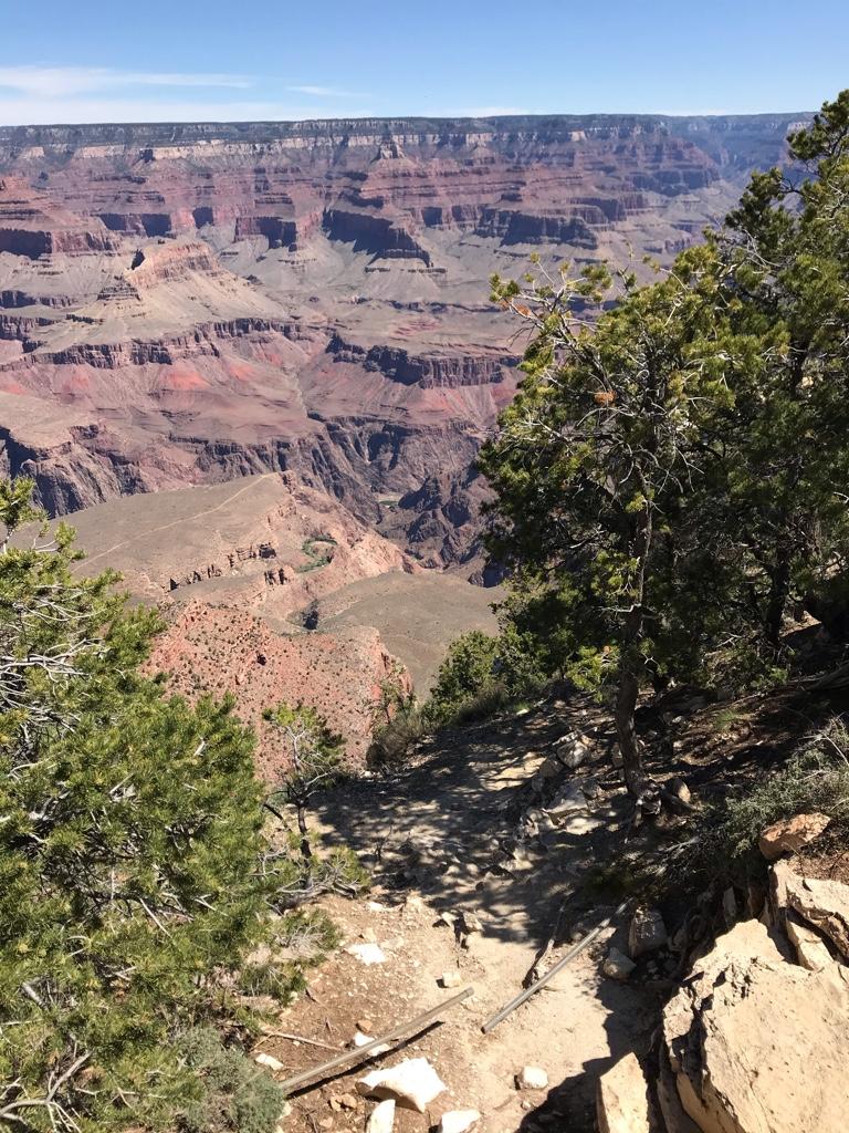 1fcc8ec62310c78c4657751cac6a3ed7.jpg