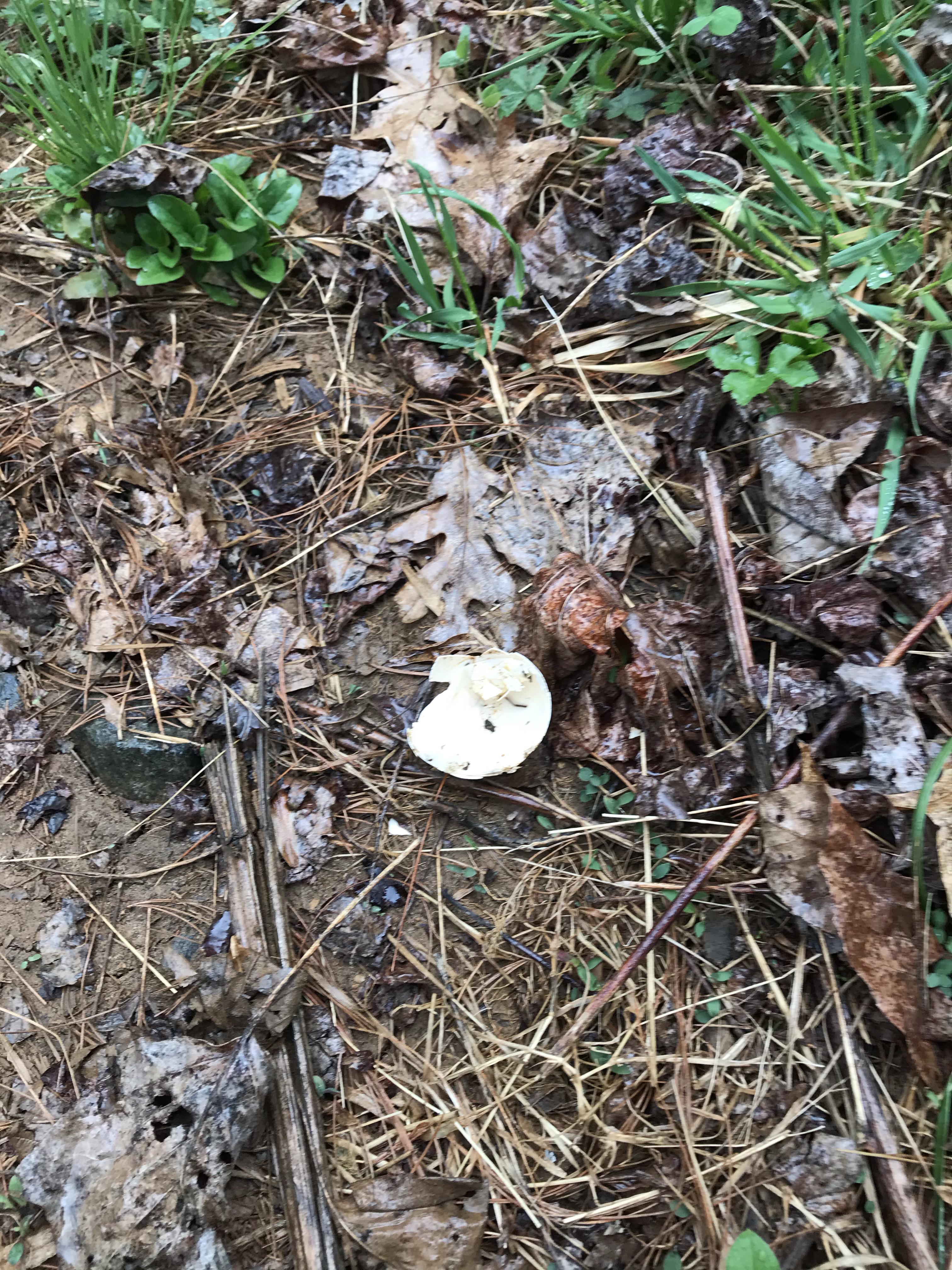 dd93b489e642290edc30586c746fccf3.jpg