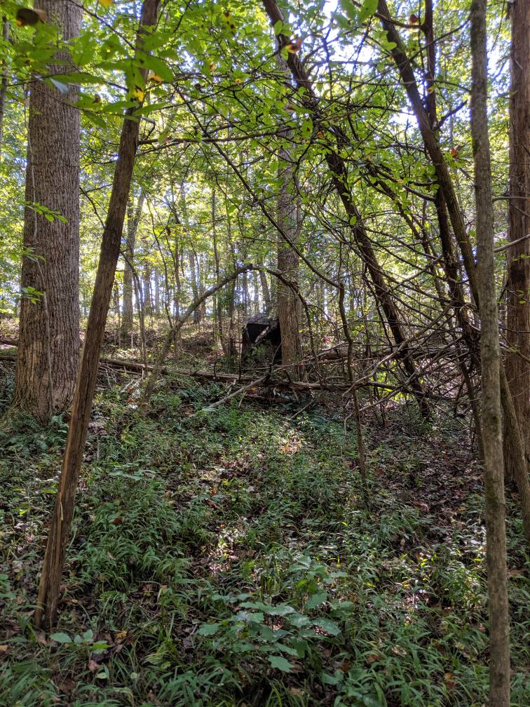 c2e407b6cf7917a5fff4491c2b9996d2.jpg