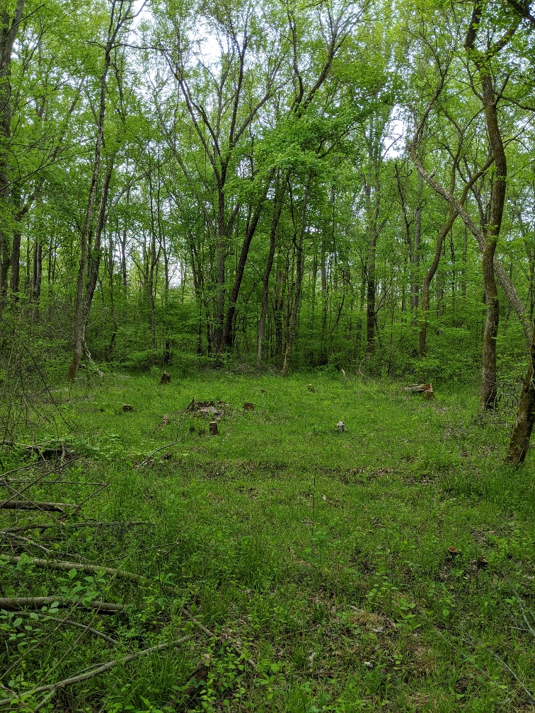1a6658852c7443082ef8ac014c35c758.jpg