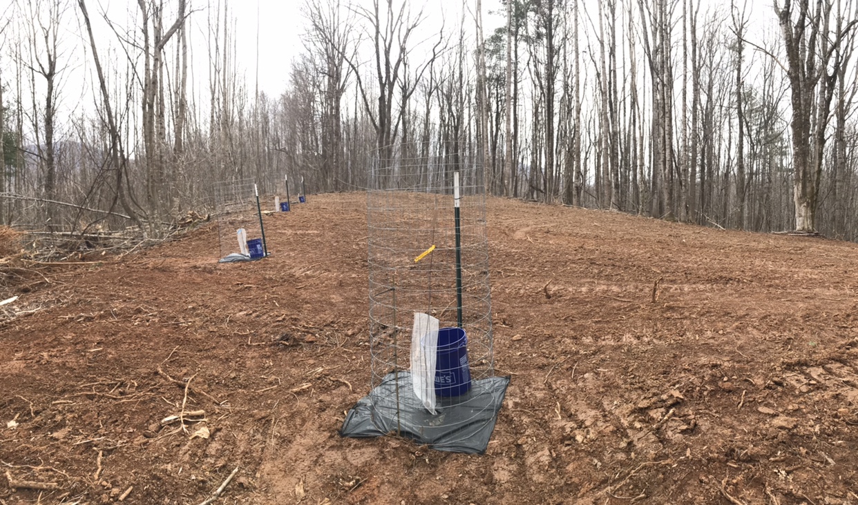 Micro Food Plots