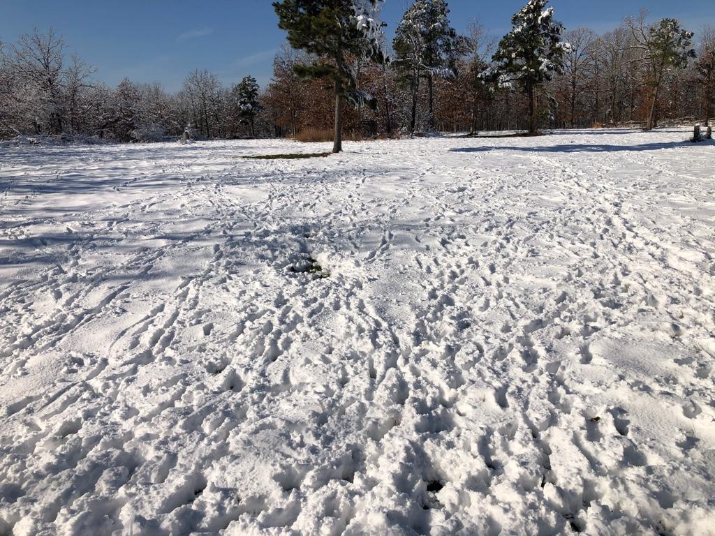 9feb366d5925fe656752ce2568082acd.jpg