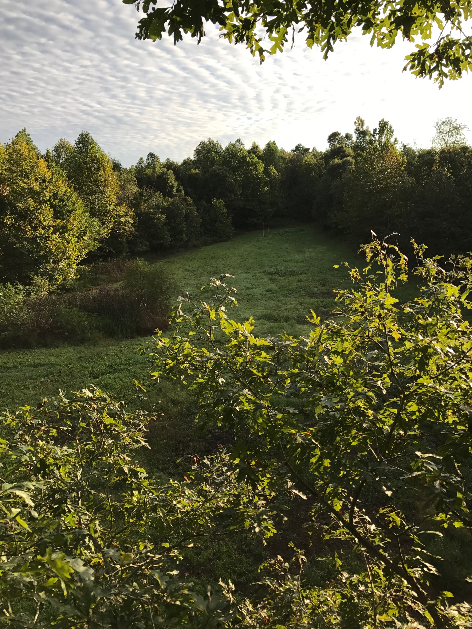 d716a3890ccef8be66d611447b19baf1.jpg