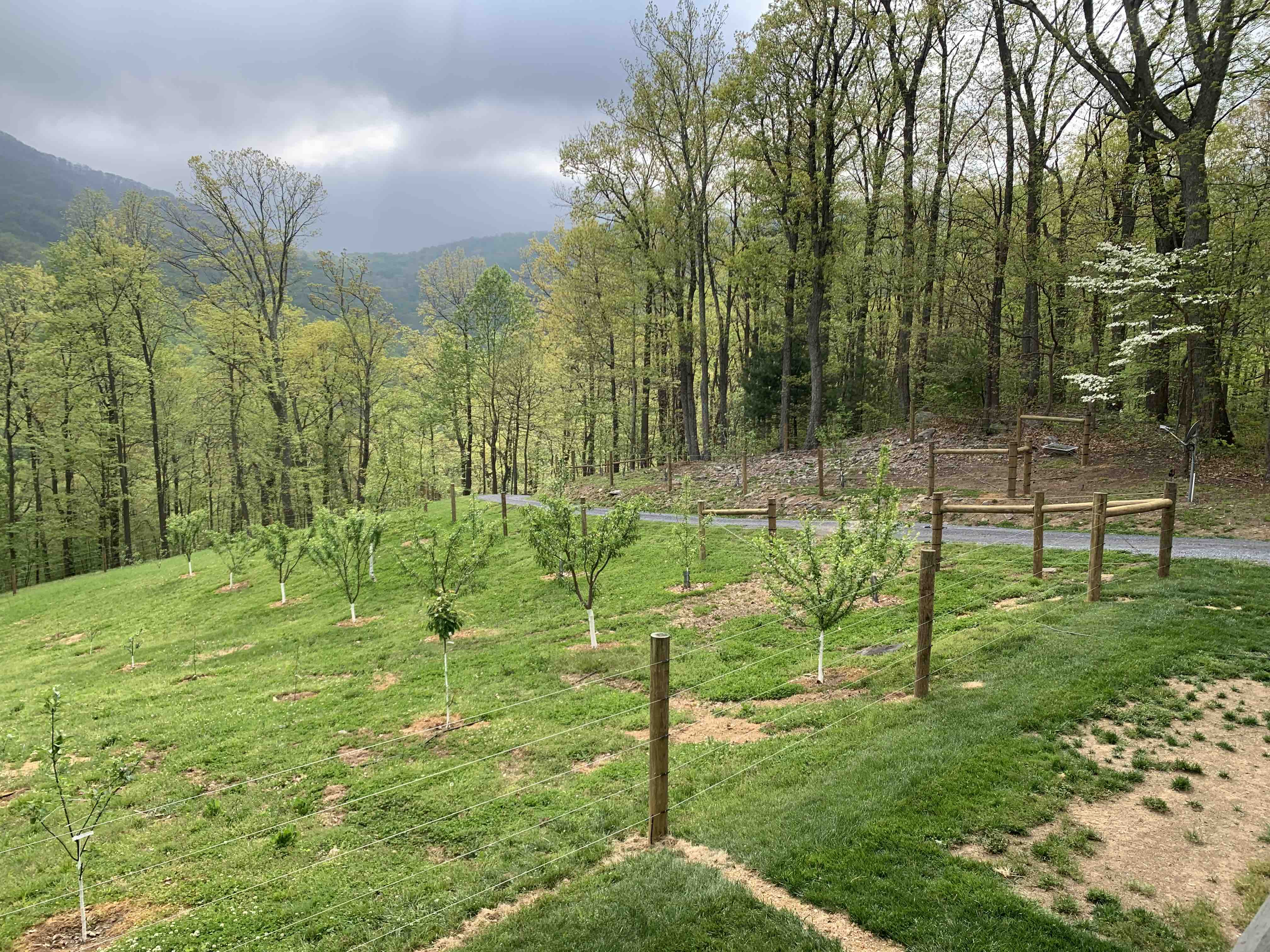 orchard-fence.jpg